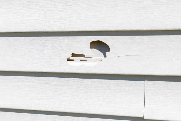 Best Siding Painting and Refinishing  in Galena, OH