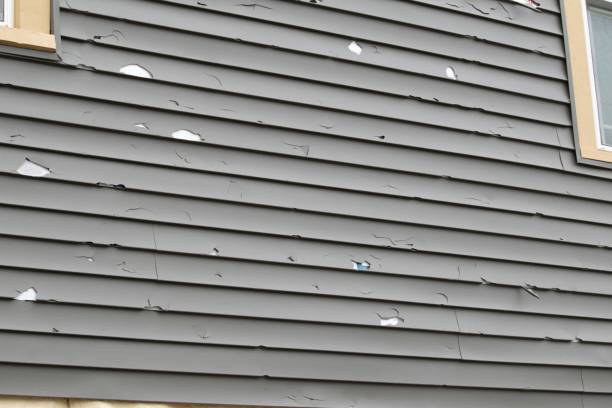 Best Residential Vinyl Siding Installation  in Galena, OH