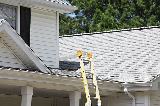 Best Storm Damage Siding Repair  in Galena, OH